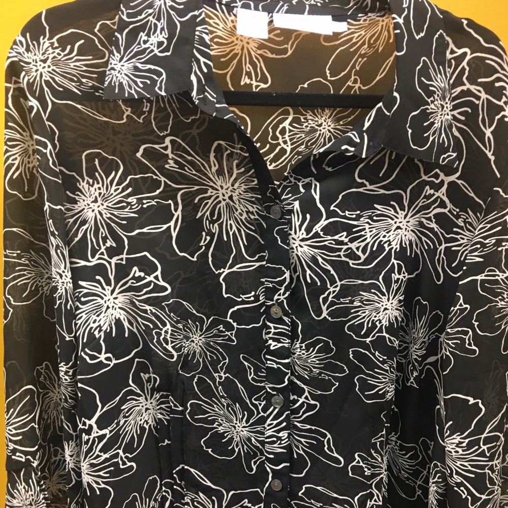 Gorgeous Sheer Blouse